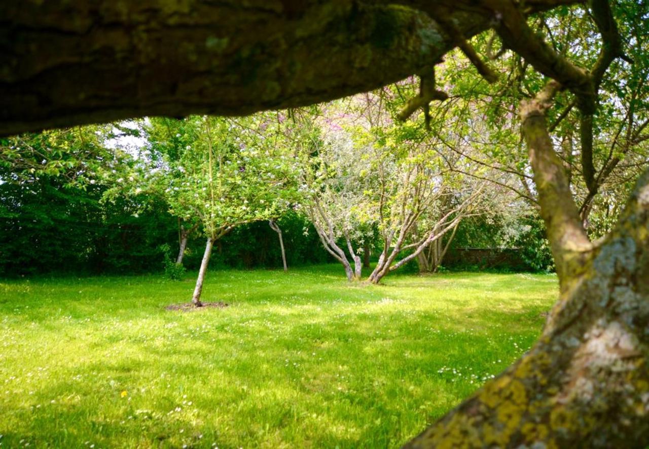 Maison Charmante A Ri Avec Jardin Et Terrasse Villa Ri Exteriör bild